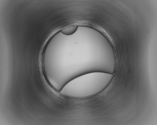 X0000110741235200906150922