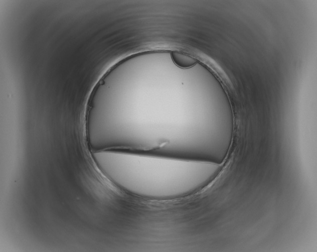 X0000110741236200906150922