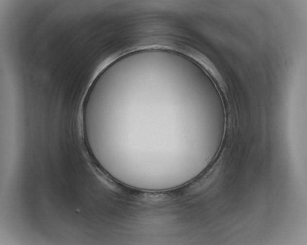 X0000110741242200906150922