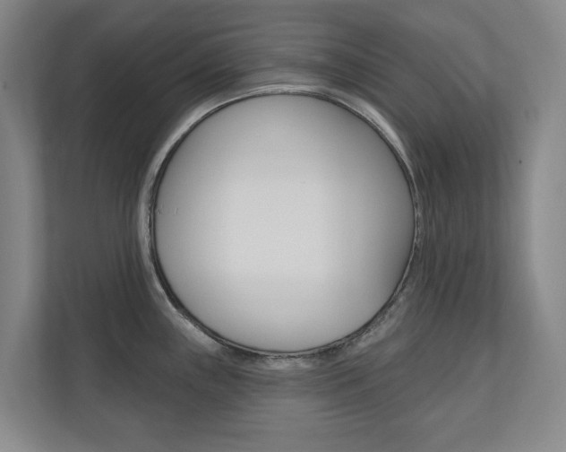 X0000110741243200906150922