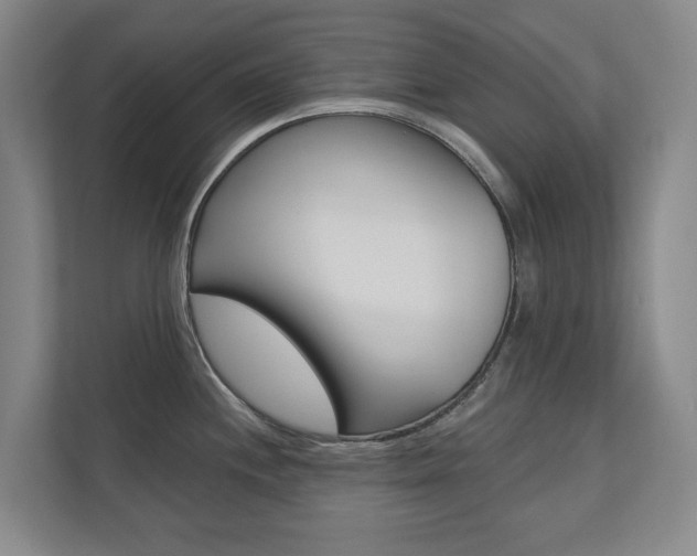 X0000110741244200906150922