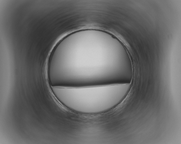 X0000110741246200906150922