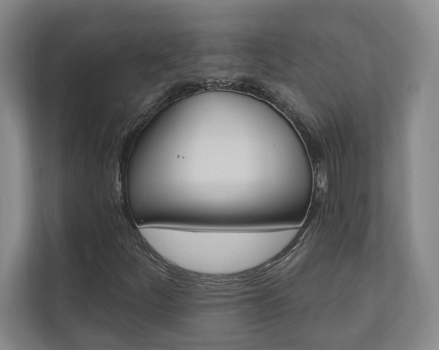 X0000110741252200906150922