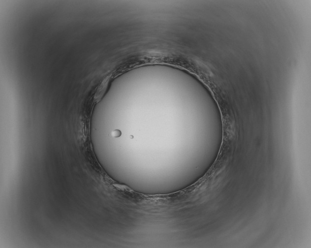 X0000110741253200906150922