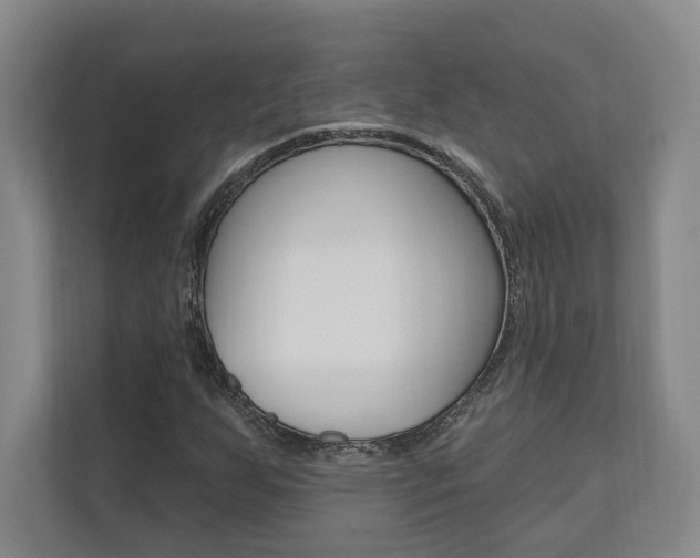 X0000110741255200906150922