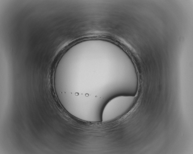 X0000110741259200906150922