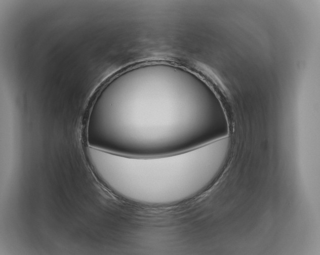 X0000110741260200906150922