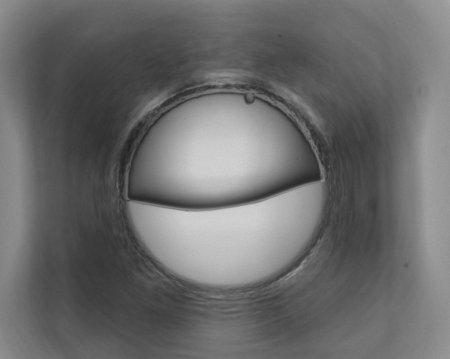 X0000110741261200906150922