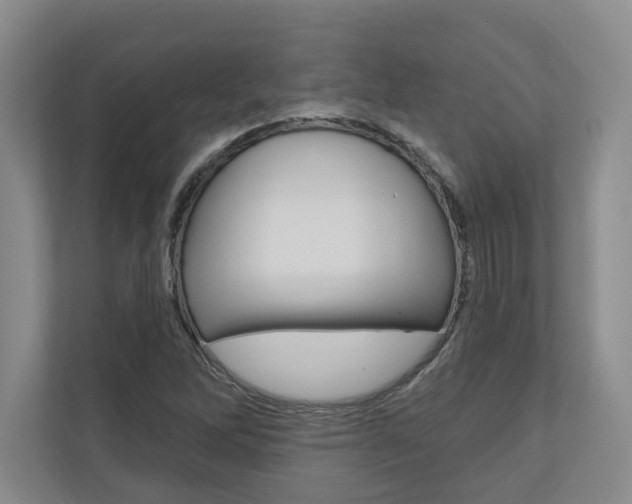 X0000110741262200906150922