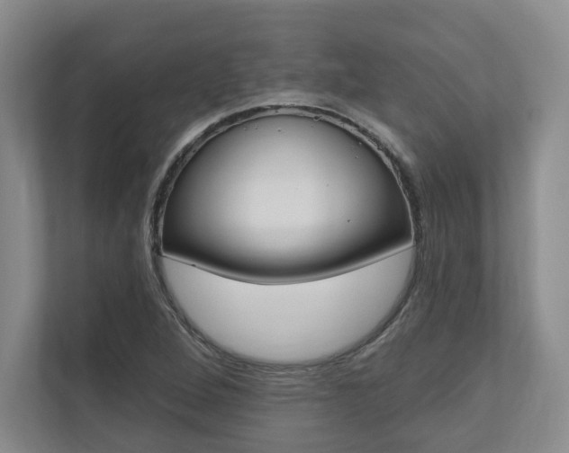 X0000110741264200906150922
