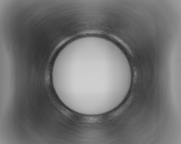 X0000110741266200906150922