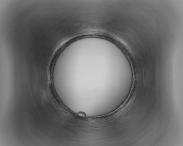 X0000110741267200906150922