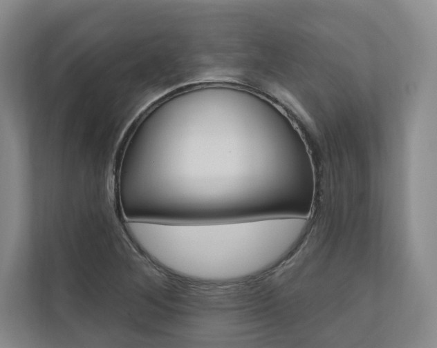 X0000110741268200906150922