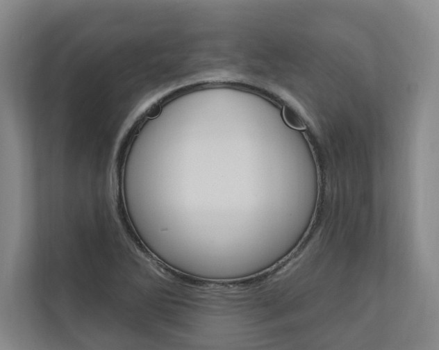 X0000110741270200906150921
