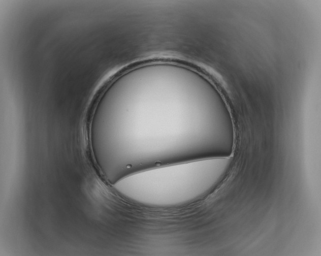 X0000110741271200906150921