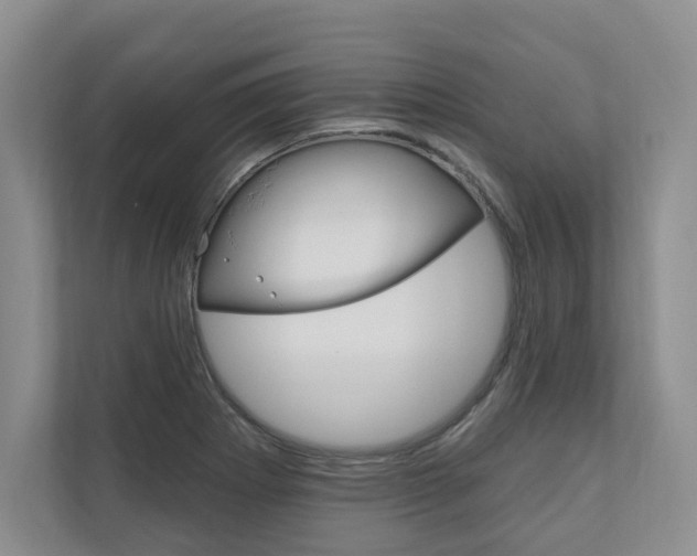 X0000110741273200906150921