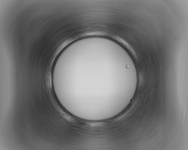 X0000110741274200906150921