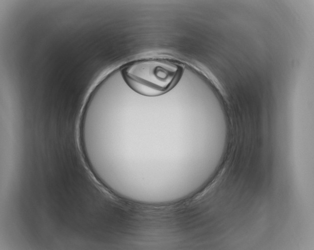 X0000110741277200906150921