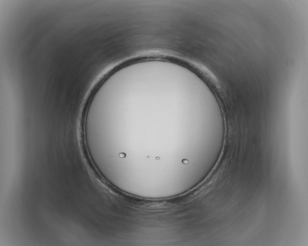 X0000110741279200906150921