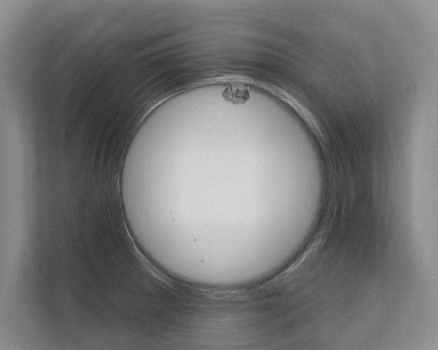 X0000110741281200906150921