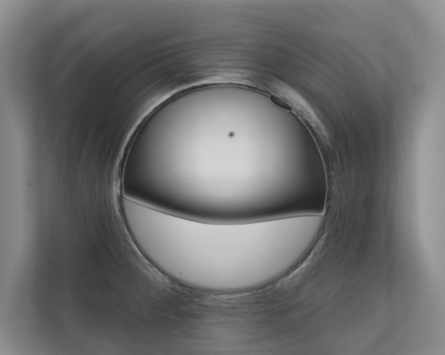 X0000110741284200906150921