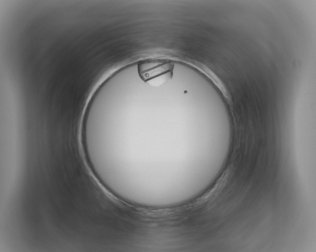 X0000110741285200906150921