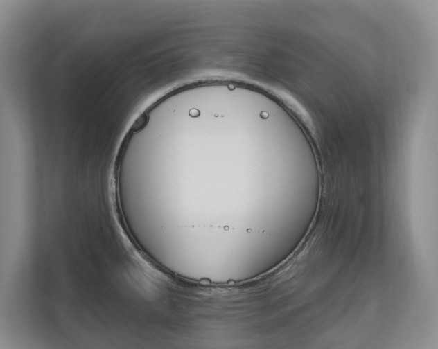 X0000110741287200906150921