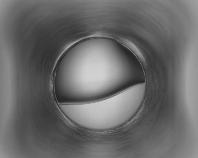 X0000110741292200906150921