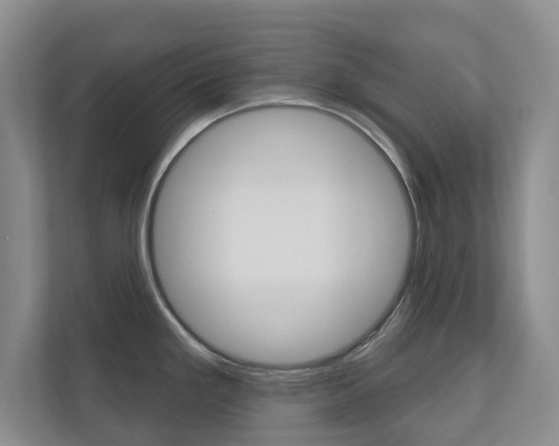 X0000110741293200906150921