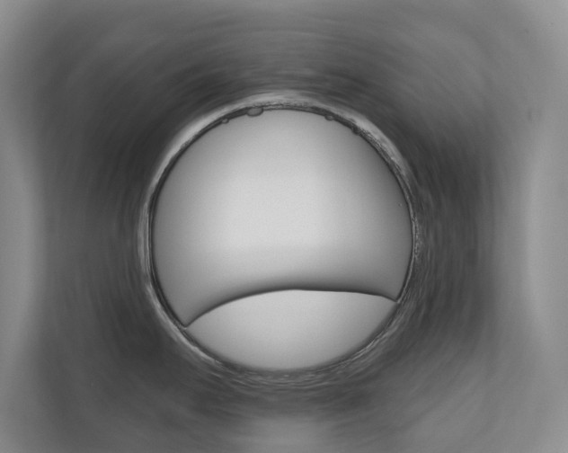 X0000110741295200906150921