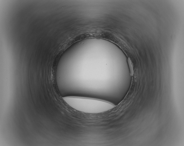 X0000110741298200906150921