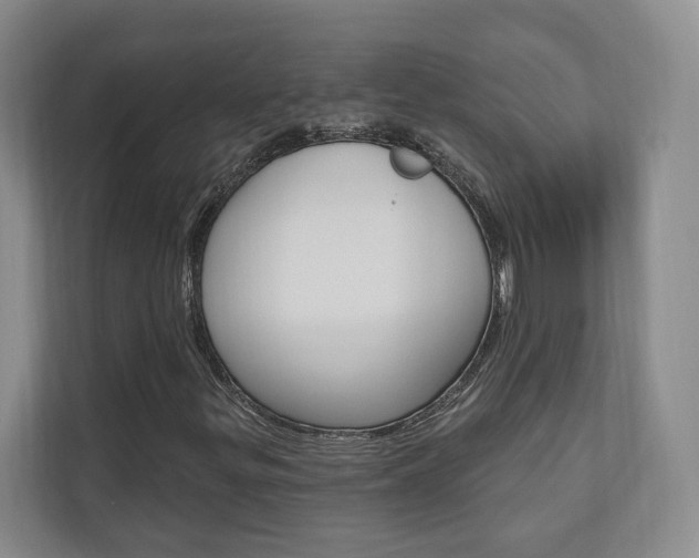 X0000110741299200906150921