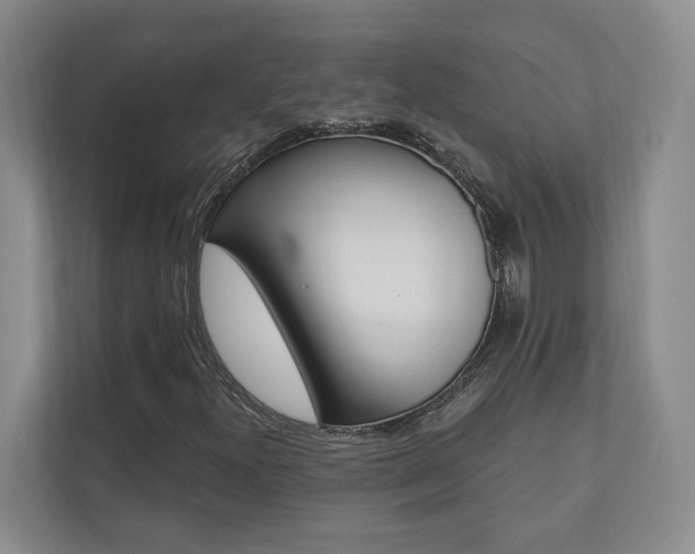 X0000110741300200906150921