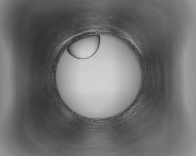 X0000110741304200906150921