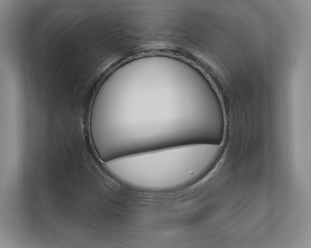 X0000110741305200906150921