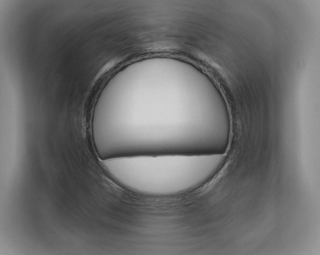 X0000110741306200906150921