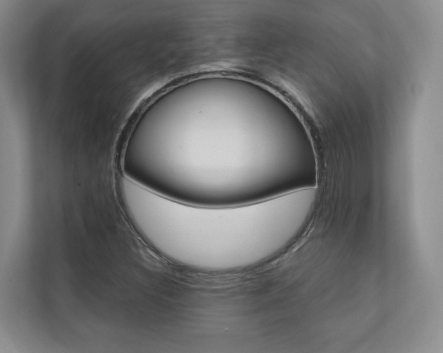 X0000110741308200906150921