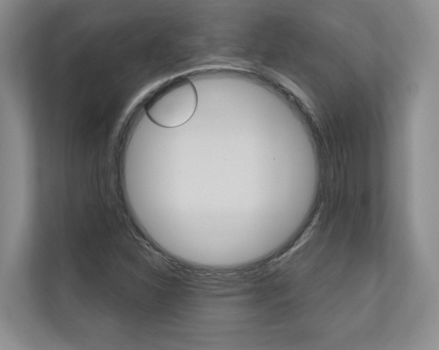 X0000110741310200906150921