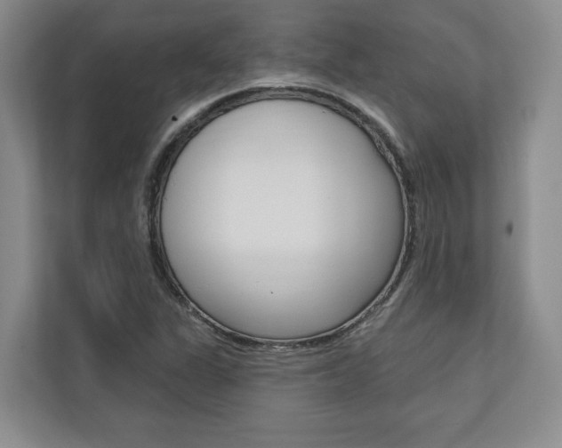 X0000110741311200906150921