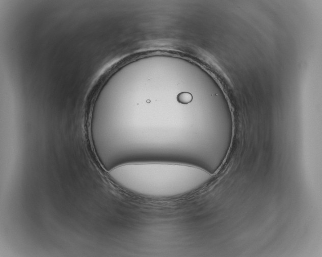 X0000110741312200906150921