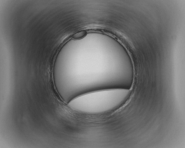 X0000110741313200906150921