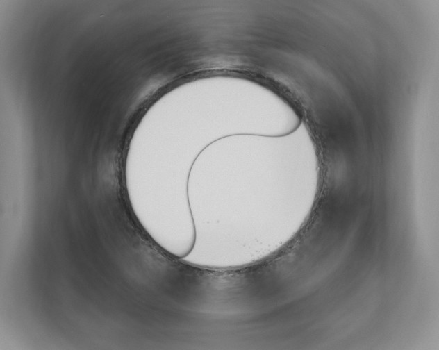 X0000110741314200906150921
