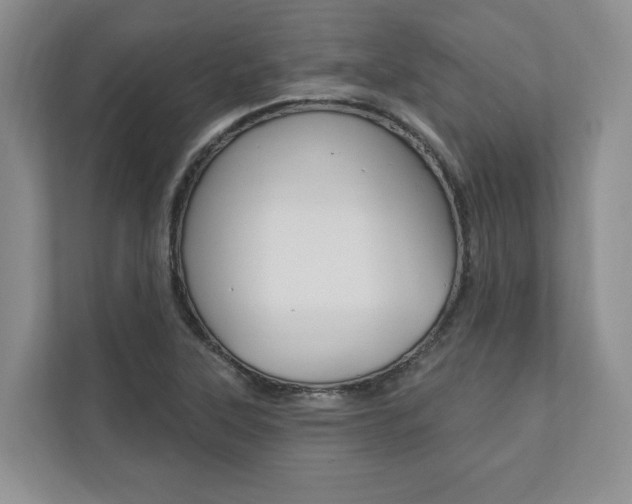 X0000110741315200906150921