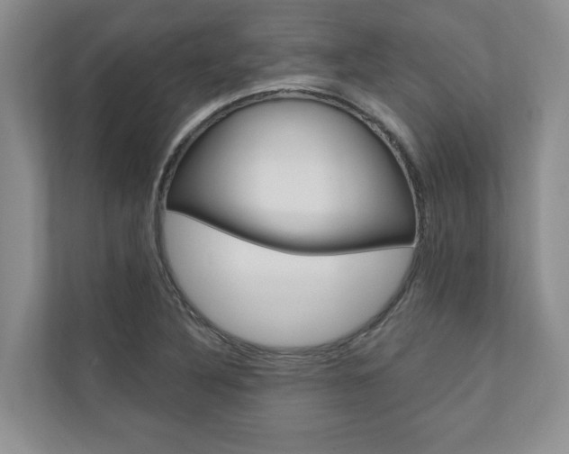 X0000110741316200906150921