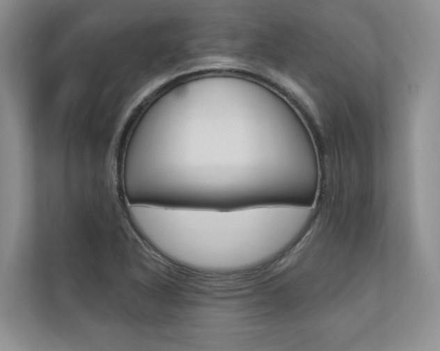 X0000110741318200906150921