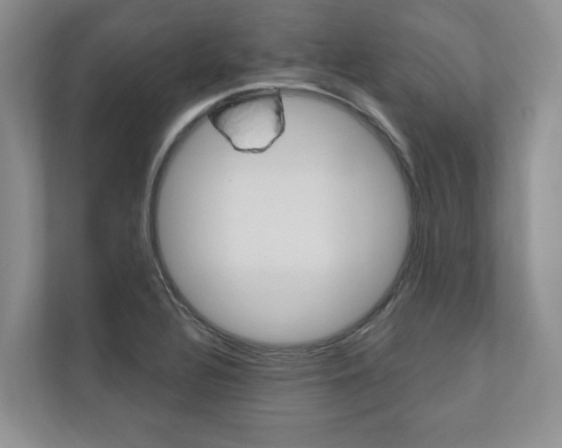 X0000110741320200906150921