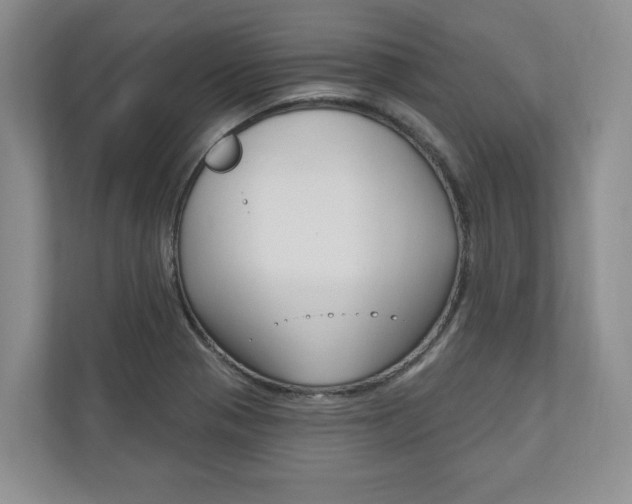 X0000110741321200906150921