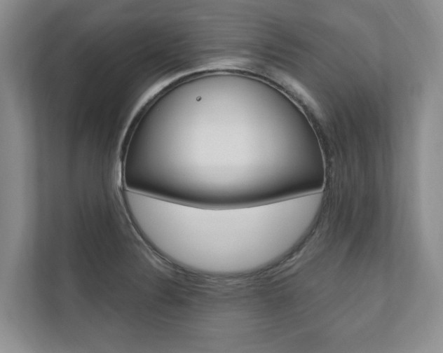 X0000110741324200906150921