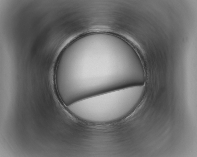 X0000110741325200906150921