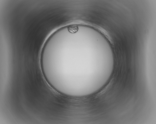 X0000110741326200906150921